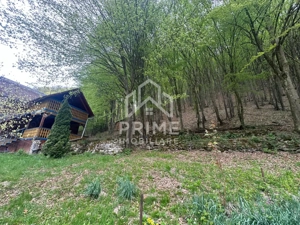 Cabana 5 camere, 75 mp| teren 900 mp| zona Iezer Ighiel - imagine 10