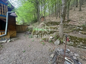 Cabana 5 camere, 75 mp| teren 900 mp| zona Iezer Ighiel - imagine 12