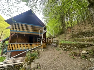 Cabana 5 camere, 75 mp| teren 900 mp| zona Iezer Ighiel - imagine 2