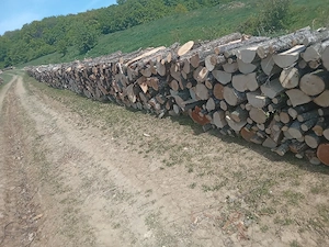lemne de foc