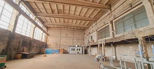 Bulevardul Basarabia, zona Faur, hala 1100 mp cu pod rulant - imagine 2