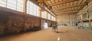 Bulevardul Basarabia, zona Faur, hala 1100 mp cu pod rulant - imagine 3