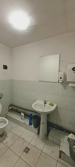 Bulevardul Basarabia, hala 1500 mp + 1000 mp platforma - imagine 15