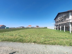 Teren de vanzare,Sacalaz 670m - imagine 6