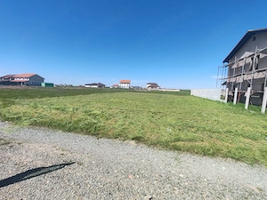 Teren de vanzare,Sacalaz 670m - imagine 7
