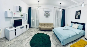 Garsoniera renovata si mobilata, zona Astra - imagine 5