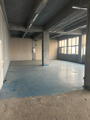 Theodor Pallady, depozit 183 mp