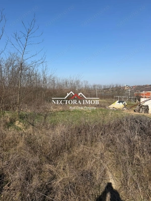 NECTORA IMOB-Teren Intravilan Lac Paleu, 886 mp, Front 27 ml,Utilitati - imagine 2