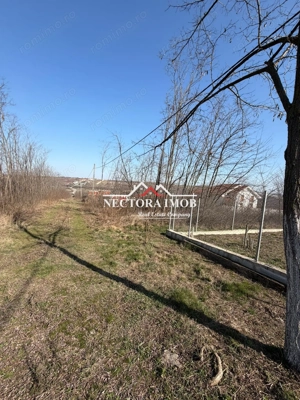 NECTORA IMOB-Teren Intravilan Lac Paleu, 886 mp, Front 27 ml,Utilitati - imagine 3