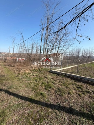 NECTORA IMOB-Teren Intravilan Lac Paleu, 886 mp, Front 27 ml,Utilitati - imagine 4