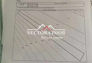 NECTORA IMOB-Exclusivitate Teren Intravilan Saldabagiu de Munte 1223mp - imagine 2