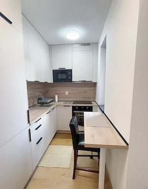 De inchiriat apartament cu 2 camere in zona Take Ionescu - imagine 2