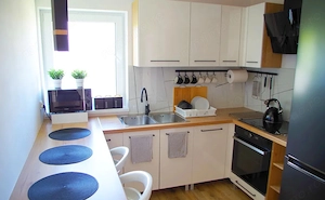 De inchiriat apartament cu 2 camere in zona Buziasului - imagine 4