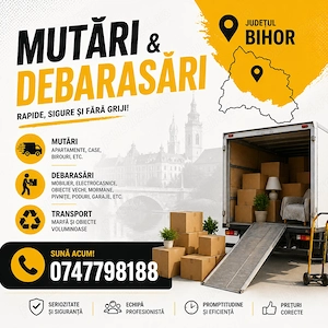 Transport rapid Oradea  Rapid  Preț bun