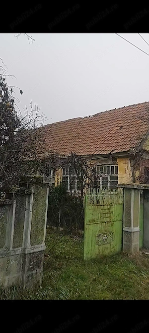 Casă de vânzare Săbolciu  - imagine 4