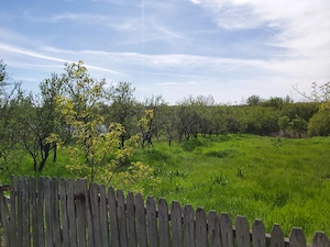 De vânzare casa batraneasca cu teren  957 mp +  Teren intravilan 1507 mp (situat pe malul lacului) - imagine 10