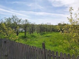 De vânzare casa batraneasca cu teren  957 mp +  Teren intravilan 1507 mp (situat pe malul lacului) - imagine 8