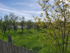 De vânzare casa batraneasca cu teren  957 mp +  Teren intravilan 1507 mp (situat pe malul lacului) - imagine 9