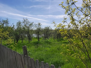 De vânzare casa batraneasca cu teren  957 mp +  Teren intravilan 1507 mp (situat pe malul lacului) - imagine 3