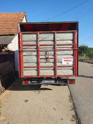 vand IVECO Daily  - imagine 3