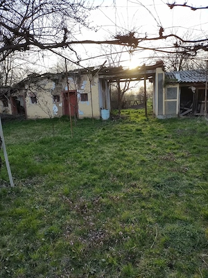 Casă de vânzare Săbolciu  - imagine 6