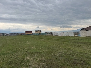 Vand loturi de teren intravilan intre Bod si Sanpetru   - imagine 3