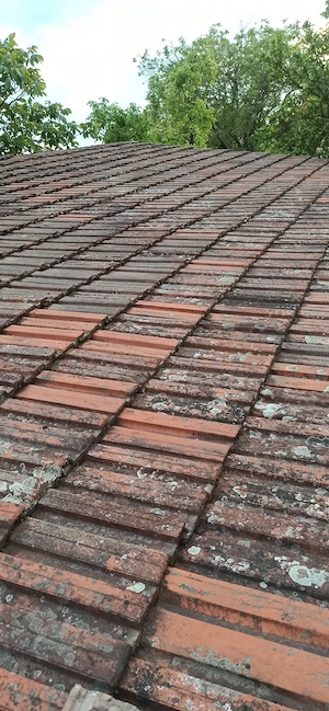 Vand tigla 253 - tigla Jimbolia, tigla LEU, aproximativ 50 mp - imagine 3