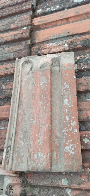 Vand tigla 253 - tigla Jimbolia, tigla LEU, aproximativ 50 mp - imagine 2