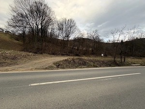 Vand teren intravilan in Abrud - imagine 2