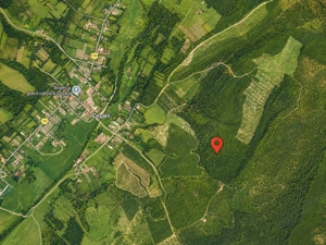 Teren 20 ha vestul Romaniei – ideal plantație aluni / livadă - imagine 5