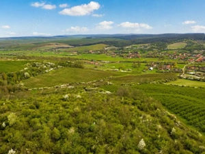 Teren 20 ha vestul Romaniei – ideal plantație aluni / livadă - imagine 2