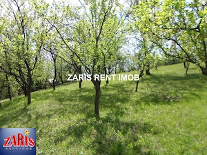 Vanzare teren intravilan 3658 mp in Predeal-Sarari, Prahova - imagine 7