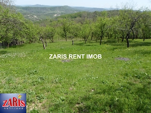 Vanzare teren intravilan 3658 mp in Predeal-Sarari, Prahova - imagine 10
