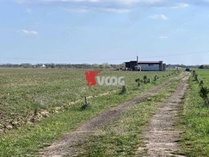 2 parcele de teren intravilan Mosnita Veche