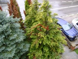 Casa P+M - Cornu de Sus - imagine 9