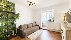 Ideal pentru cuplu tanar, mutare imediata, costuri mici de intretinere. - imagine 2