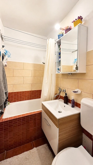 Ideal pentru cuplu tanar, mutare imediata, costuri mici de intretinere. - imagine 6