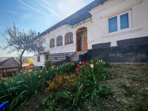 Proprietate compusă din 2 case,3 anexe,teren 3.233 m – Dârmănești, județul Argeș - imagine 9