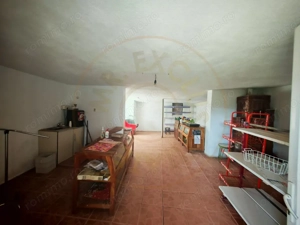 Proprietate compusă din 2 case,3 anexe,teren 3.233 m – Dârmănești, județul Argeș - imagine 3