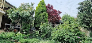 Casă individuală, clădire istorică  BĂLCESCU  - imagine 19