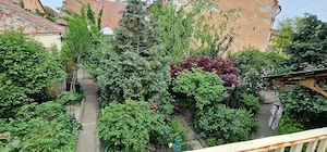 Casă individuală, clădire istorică  BĂLCESCU  - imagine 20