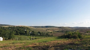 Cabană în Delta Dunării  - imagine 4