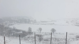 Cabană în Delta Dunării  - imagine 5