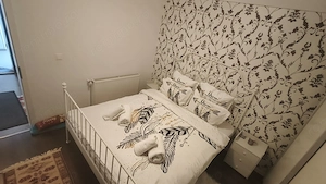 Apartament cu vedere deosebita catre partie-Predeal - imagine 4