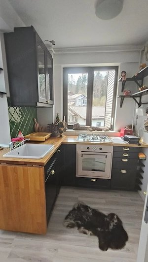 Apartament cu vedere deosebita catre partie-Predeal - imagine 11