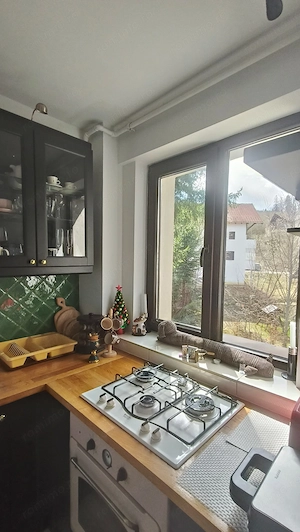 Apartament cu vedere deosebita catre partie-Predeal - imagine 12