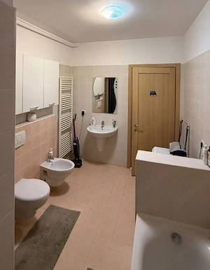 Inchiriez apartament cu o camera Dumbravita - imagine 2