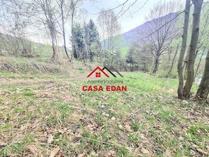 Teren intravilan in Valea Doftanei cu iesire la Parajul Paltinu--1000 mp--120e mp - imagine 6