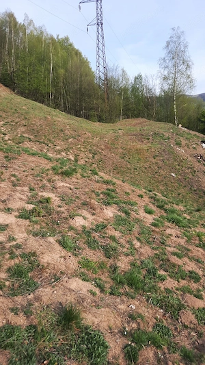 Teren extravilan de vinzare 