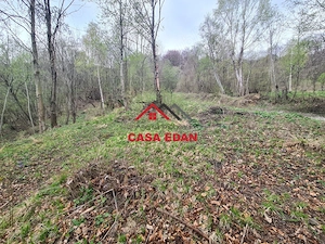 Teren intravilan in Valea Doftanei cu iesire la Parajul Paltinu--1000 mp--120e mp - imagine 18